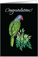 Congratulations on New Parrot Bird Adoption from Rescue Shelter card