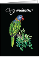Congratulations on New Parrot Bird card