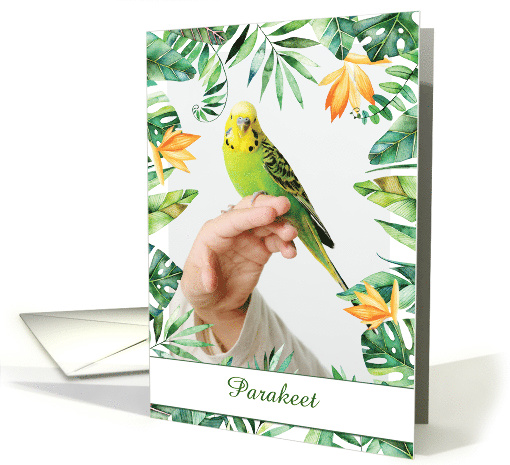 Custom Photo and Bird Name Congratulations New Bird... (1617656)
