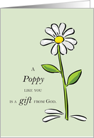 Poppy Gift from God...