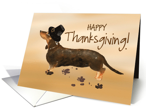 Brown Dachshund Funny Pilgrim Hat Thanksgiving card (1658602)