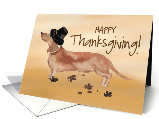 Tan and Brown Dachshund Funny Pilgrim Hat Thanksgiving card (1658604)
