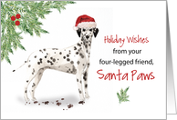 Christmas From Dog Dalmation in Funny Santa Hat card