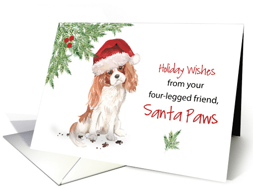 Christmas From Cavalier King Charles Spaniel Dog in Funny... (1661006)