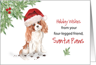 Christmas From Cavalier King Charles Spaniel Dog in Funny Santa Hat card