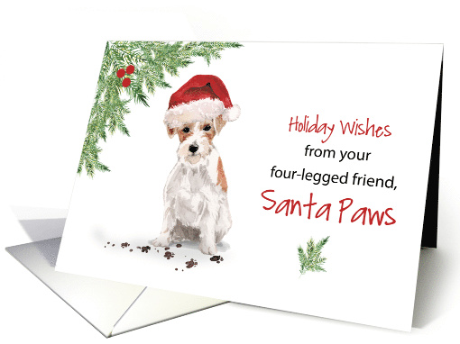 From Wire Haired Jack Russell Terrier Christmas Dog in... (1661008)