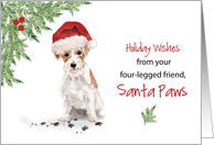 From Wire Haired Jack Russell Terrier Christmas Dog in Funny Santa Hat card