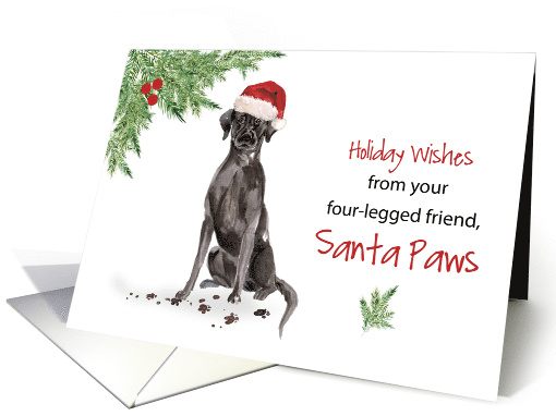 Black Lab Christmas From Dog in Funny Santa Hat card (1661118)