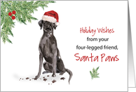 Black Lab Christmas From Dog in Funny Santa Hat card