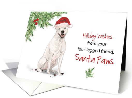 American Staffordshire Terrier Christmas From Dog in... (1661572)