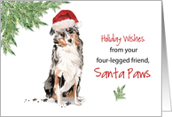 Australian Shepherd Christmas From Dog in Funny Santa Hat card