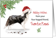 Border Collie Christmas From Dog in Funny Santa Hat card