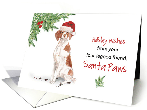 Brittany Christmas From Dog in Funny Santa Hat card (1661580)
