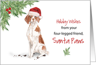 Brittany Christmas From Dog in Funny Santa Hat card