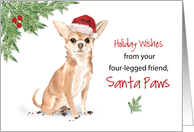 Chihuahua Christmas From Dog in Funny Santa Hat card