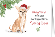 Chihuahua Christmas...