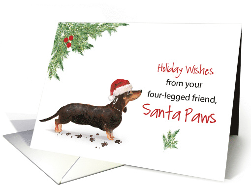 Black and Tan Dachshund Christmas From Dog in Funny Santa Hat card