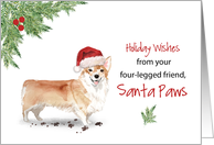 Corgi Christmas From Dog in Funny Santa Hat card