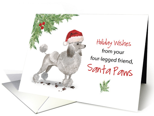 Grey Poodle Christmas From Dog in Funny Santa Hat card (1661616)