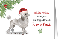 Grey Poodle Christmas From Dog in Funny Santa Hat card