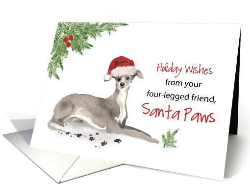 Italian Greyhound Christmas From Dog in Funny Santa Hat card (1661676)
