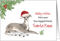 Italian Greyhound Christmas From Dog in Funny Santa Hat card