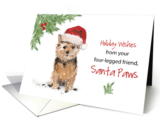 Norfolk Terrier Christmas From Dog in Funny Santa Hat card (1661682)