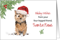Norfolk Terrier Christmas From Dog in Funny Santa Hat card