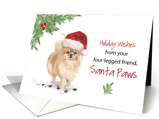 Pommeranian Christmas From Dog in Funny Santa Hat card (1661684)