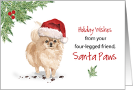 Pommeranian Christmas From Dog in Funny Santa Hat card