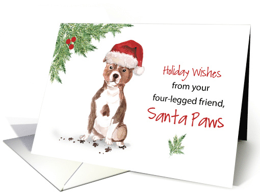 Staffordshire Bull Terrier Christmas From Dog in Funny Santa Hat card