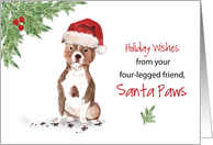 Staffordshire Bull Terrier Christmas From Dog in Funny Santa Hat card