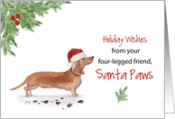 Tan Dachshund Christmas From Dog in Funny Santa Hat card