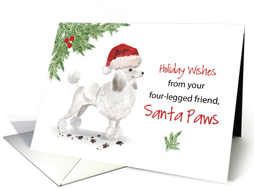 White Poodle Christmas From Dog in Funny Santa Hat card (1661694)