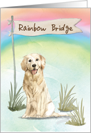 Golden Retriever Pet Sympathy Over Rainbow Bridge card