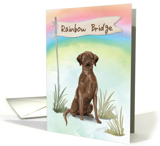 Chocolate Lab Pet Sympathy Over Rainbow Bridge card (1673720)