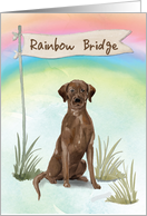 Chocolate Lab Pet Sympathy Over Rainbow Bridge card
