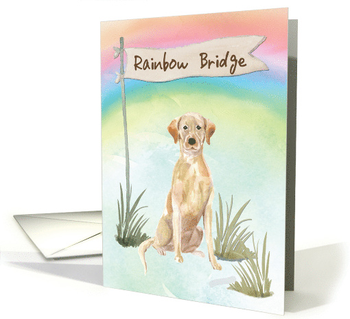 Yellow Lab Pet Sympathy Over Rainbow Bridge card (1673722)