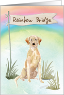 Yellow Lab Pet Sympathy Over Rainbow Bridge card