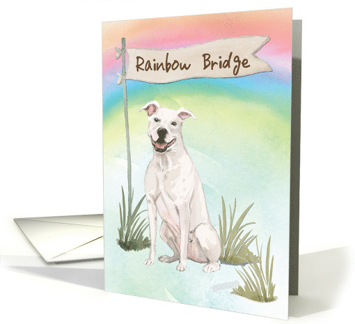American Staffordshire Terrier Pet Sympathy Over Rainbow Bridge card