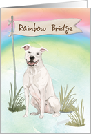 American Staffordshire Terrier Pet Sympathy Over Rainbow Bridge card