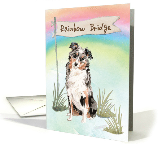 Australian Shepherd Pet Sympathy Over Rainbow Bridge card (1673726)