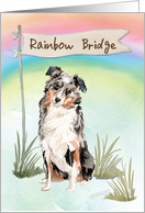 Australian Shepherd Pet Sympathy Over Rainbow Bridge card
