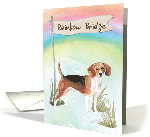 Beagle Pet Sympathy Over Rainbow Bridge card (1673728)