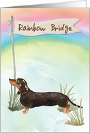 Black and Tan Dachshund Pet Sympathy Over Rainbow Bridge card