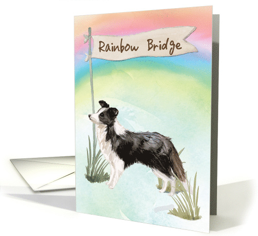 Border Collie Pet Sympathy Over Rainbow Bridge card (1673734)