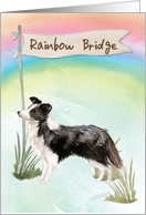 Border Collie Pet Sympathy Over Rainbow Bridge card