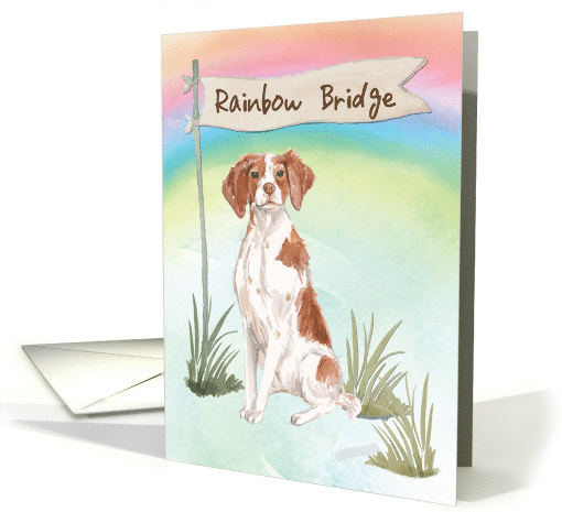 Brittany Pet Sympathy Over Rainbow Bridge card (1673736)
