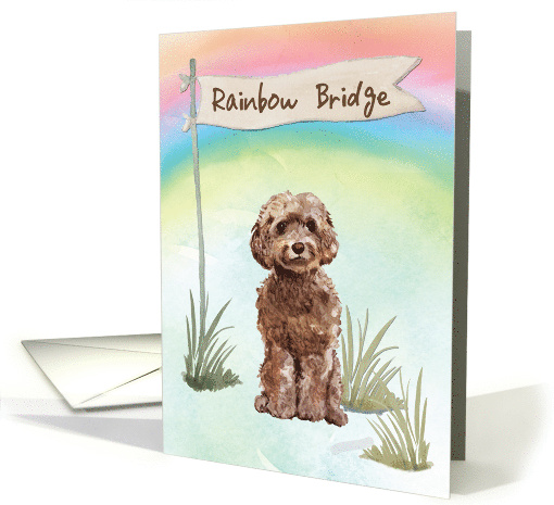 Brown Cockapoo Pet Sympathy Over Rainbow Bridge card (1673738)