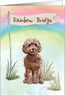 Brown Cockapoo Pet Sympathy Over Rainbow Bridge card